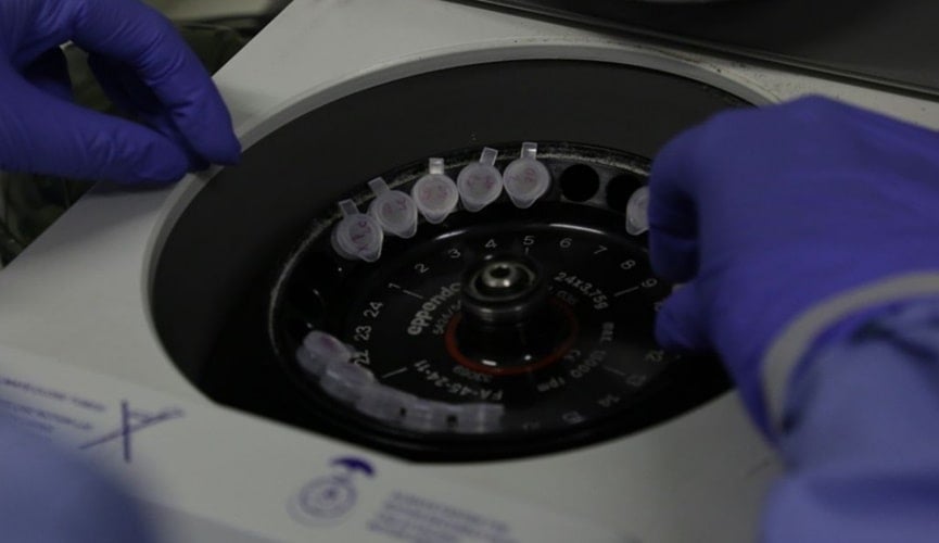 Foto de amostras sendo analisadas