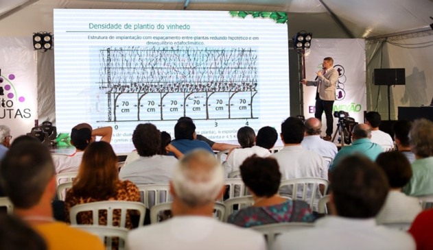 Homem palestrando sobre plantio de uva
