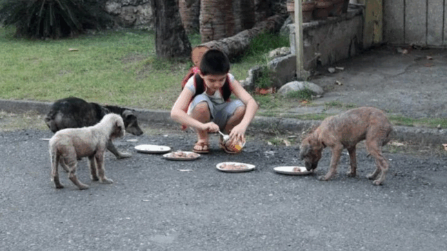 Foto: Divulgação/ Historias Com Valor