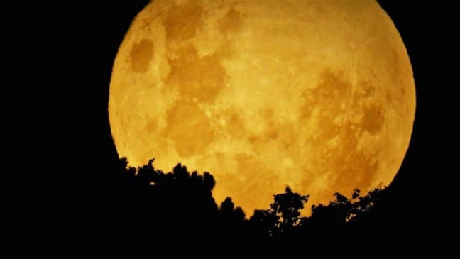 superlua amarela no céu escuro