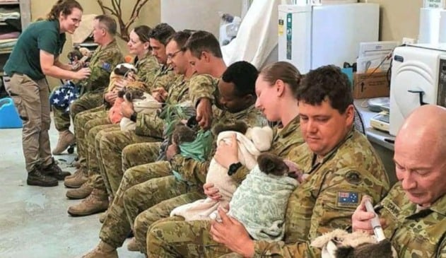 Foto de soldados abraçados com filhotes de coalas