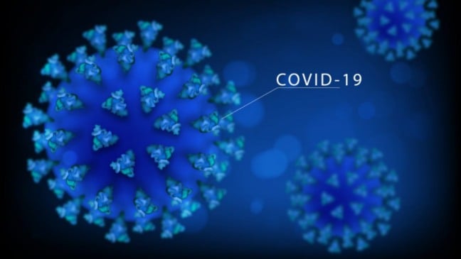 Estrutura viral da Covid-19 em desenho gráfico