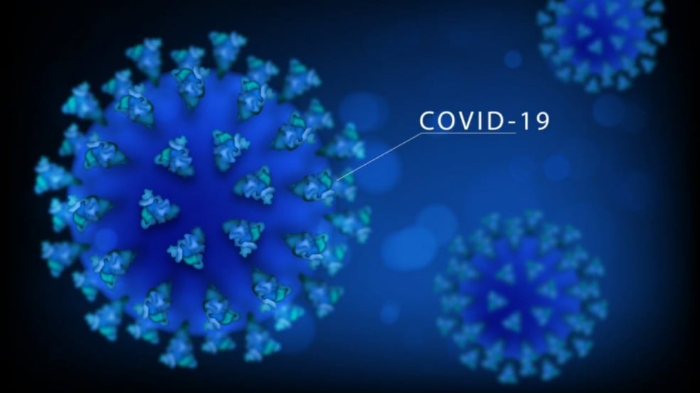 Estrutura viral da Covid-19 em desenho gráfico