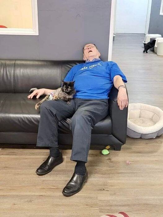 Idoso dormindo com gatinhos