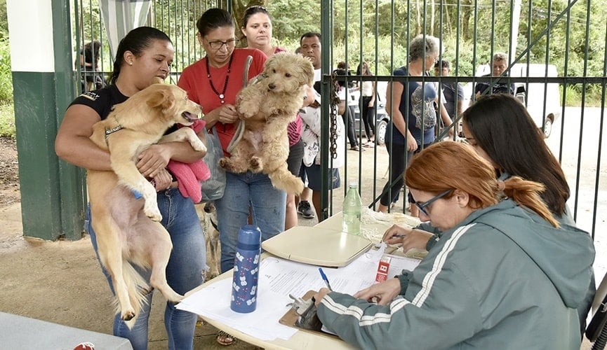 Pessoas segurando cachorros no colo em fila