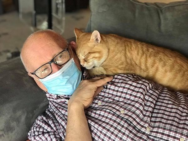 Idoso dormindo com gatinhos