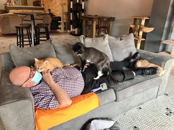 Idoso dormindo com gatinhos