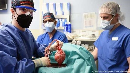 Foto: DW / Deutsche Welle