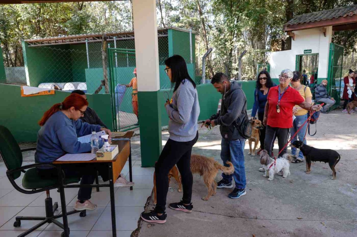 136 animais foram castrados no mutirão da última sexta-feira. Foto: Prefeitura de Jundiaí