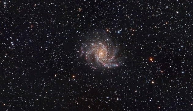 NGC 6946, Gary Opitz from Rochester, New York (Foto: Reprodução/Facebook AJAA)