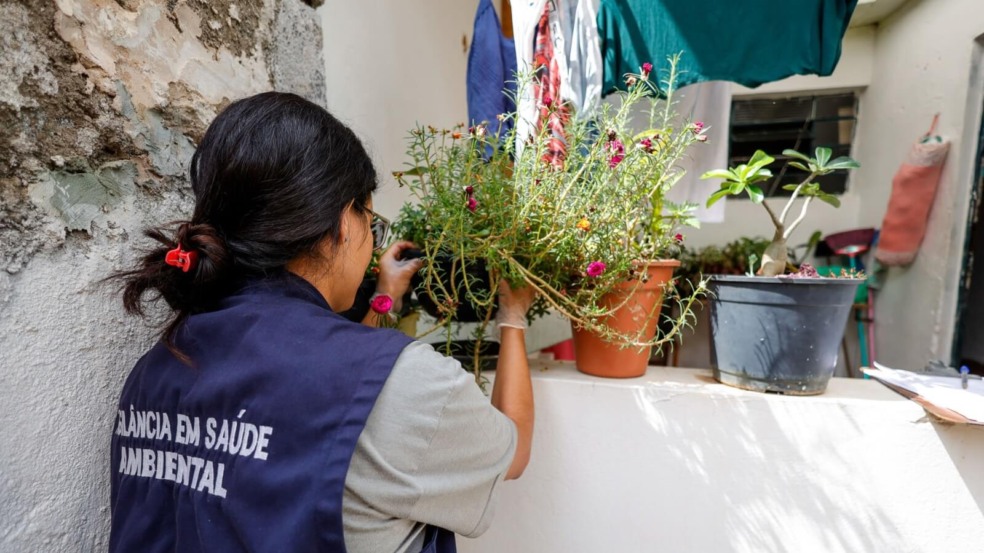 Infectologista esclarece sintomas e alerta para prevenção da Dengue
