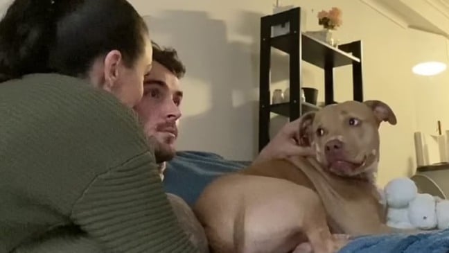 (Foto: Reprodução TikTok/@ashleighwedd)