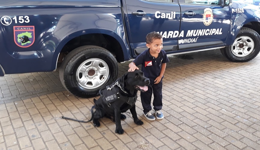 Criança posa com labrador da Guarda Municipal de Jundiaí para foto