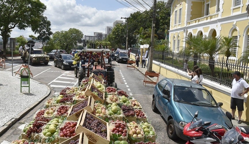 Trator carregando uva