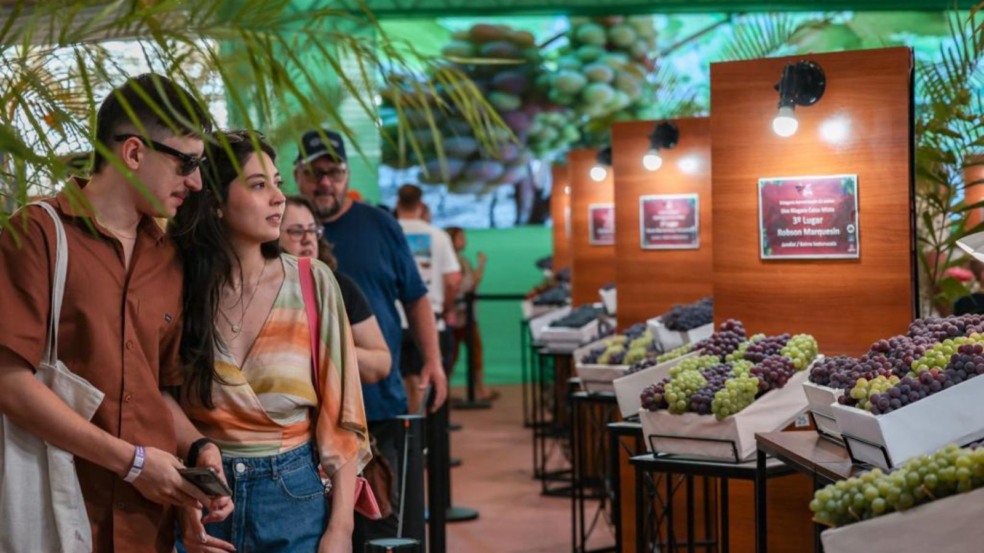 Visitantes na Festa Uva Visitantes na Festa Uva