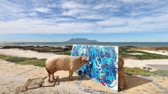 Foto: Reprodução/Instagram