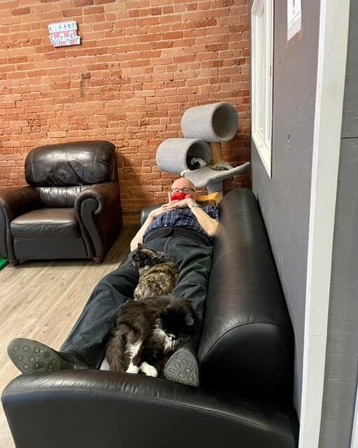 Idoso dormindo com gatinhos