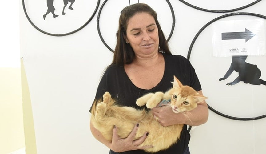 Foto de mulher segurando gato amarelo