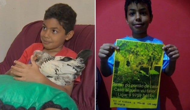 Criança abraçada com galinha, à esquerda; criança com cartaz de procura-se galinha, à direita