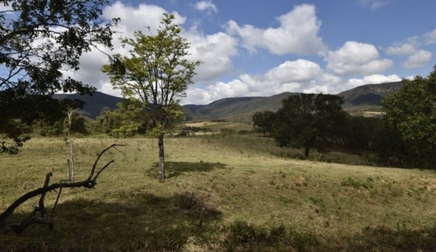 Campo com vegetação e ao fundo a Serra do Japi
