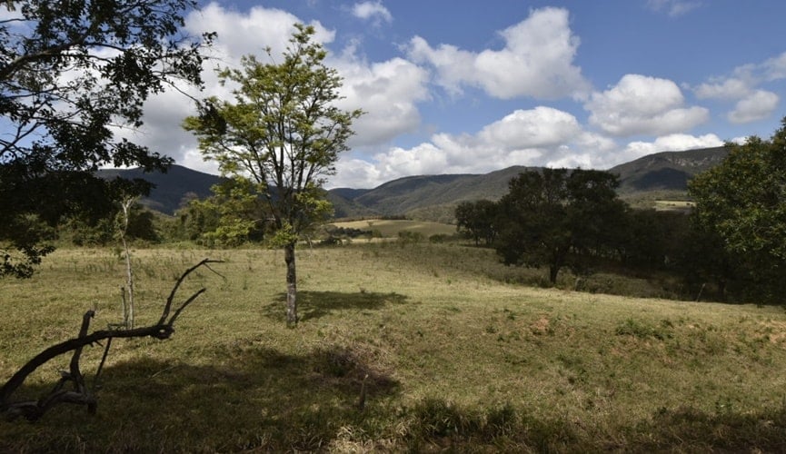 Campo com vegetação e ao fundo a Serra do Japi