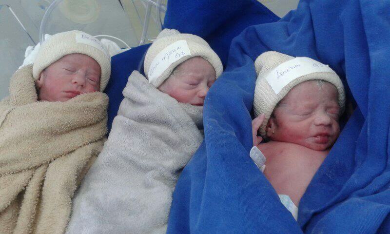 três recém-nascidos enrolados em uma coberta