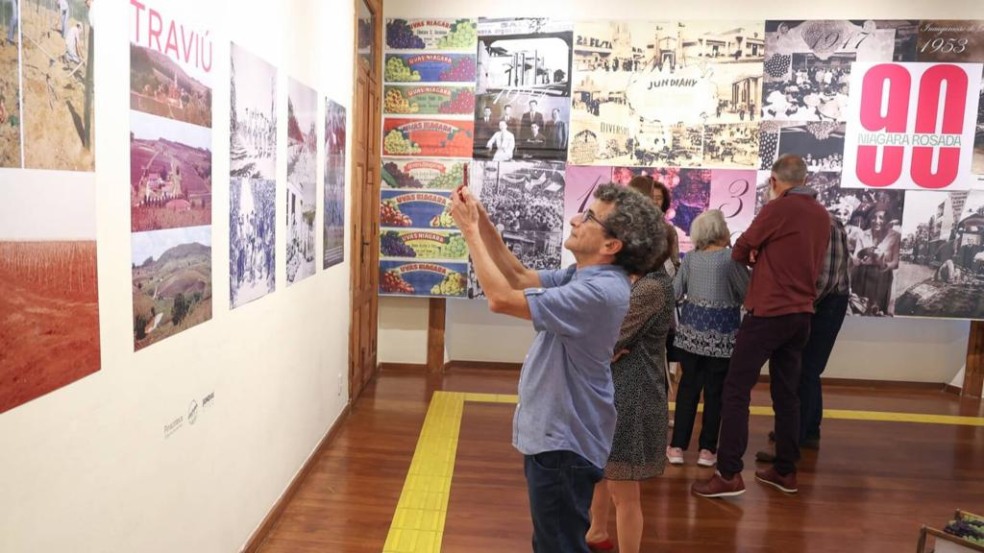 Exposição Uva Niagara Jundiaí