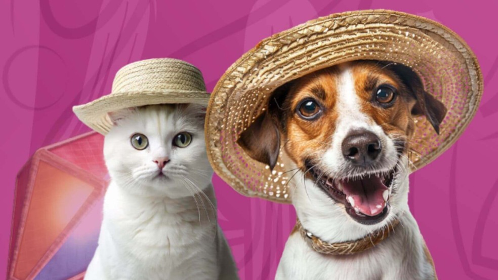 2º ArraiAU Kuka Freska tem serviços gratuitos para pets e diversão para a família 2º ArraiAU Kuka Freska tem serviços gratuitos para pets e diversão para a família
