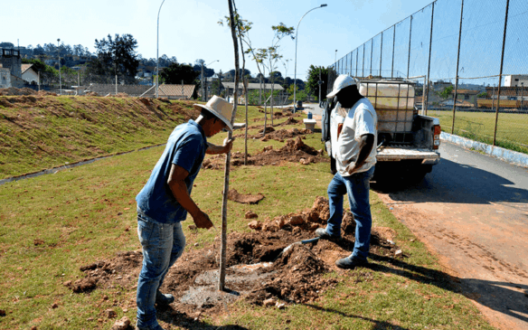 100 árvores serão plantadas no local. (Foto: Reprodução/Prefeitura Municipal de Várzea Paulista)