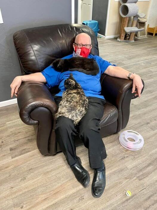 Idoso dormindo com gatinhos