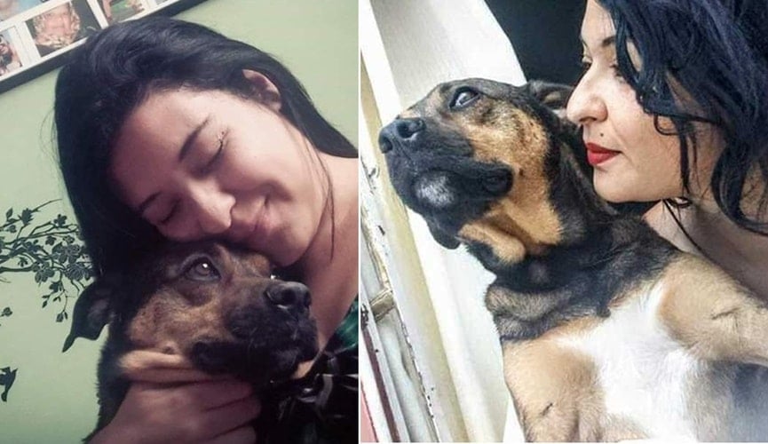 Emocionante: ‘carta’ de cachorro resgatado para dono que o abandonou viraliza na internet