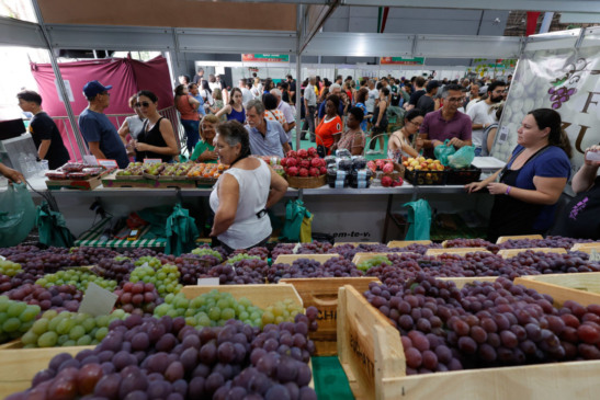 Jundiaí: Festa da Uva 2024 abre Edital de Credenciamento para expositores