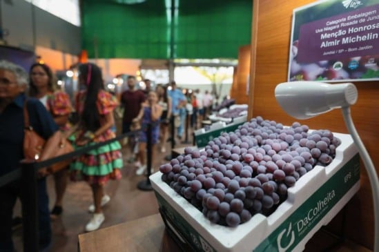 Rotas Turísticas, festas e empreendimentos de Jundiaí são destaques no site do Governo do Estado