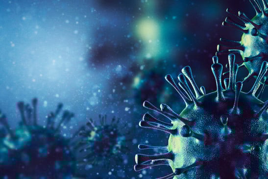 Vírus Covid-19. (Foto: Divulgação)