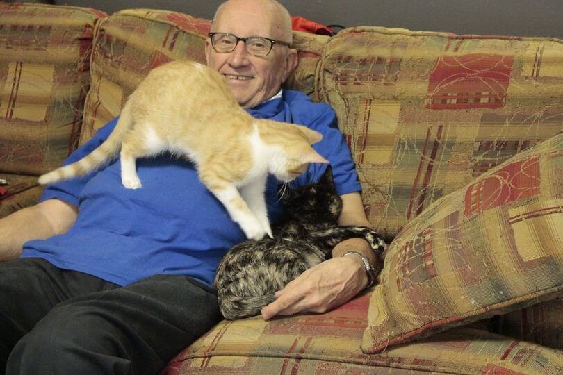 Idoso dormindo com gatinhos