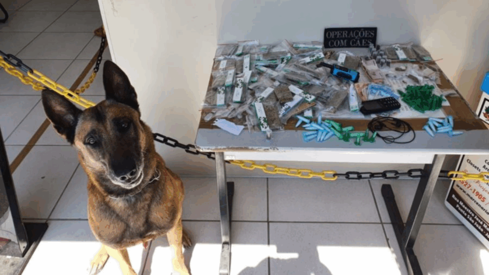 Foto: Divulgação/GMJ