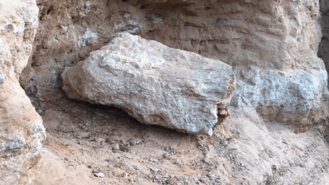 Fóssil de dinossauro é encontrado em obra rodoviária em Marília