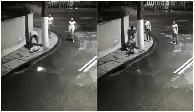 Câmara de segurança flagra abandono de gatos na Ponte Seca (Foto: Reprodução/G1)