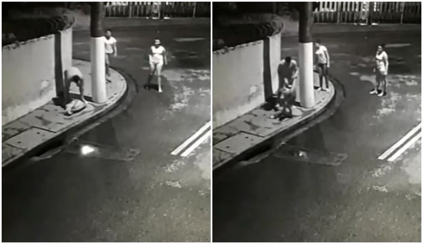 Câmara de segurança flagra abandono de gatos na Ponte Seca (Foto: Reprodução/G1)