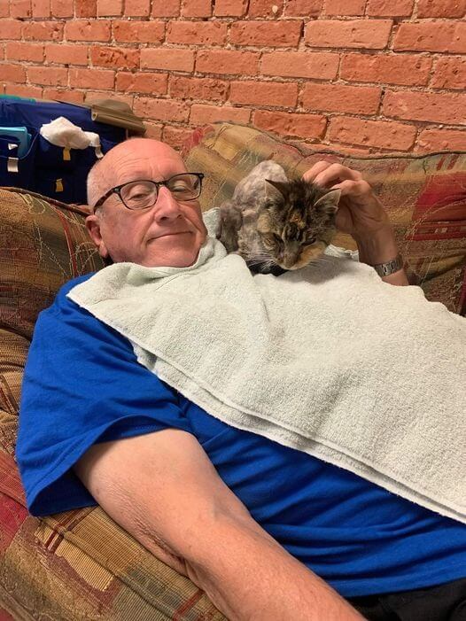 Idoso dormindo com gatinhos