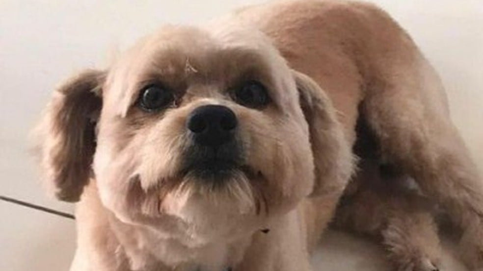 Foto: Instagram/Reprodução