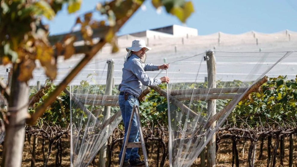 Cultivo Protegido: Jundiaí dobra valor do benefício pago aos produtores rurais