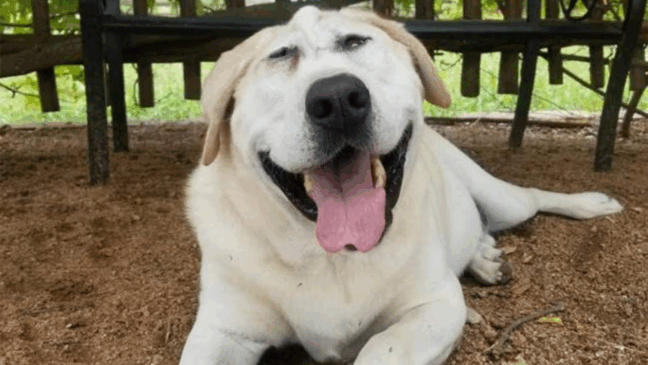 Foto: Divulgação/Jamie Hulit