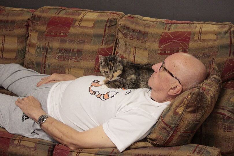 Idoso dormindo com gatinhos