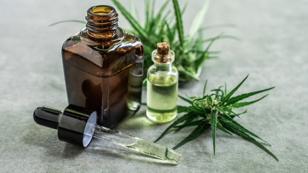 A organização do poderoso mercado mundial de Cannabis