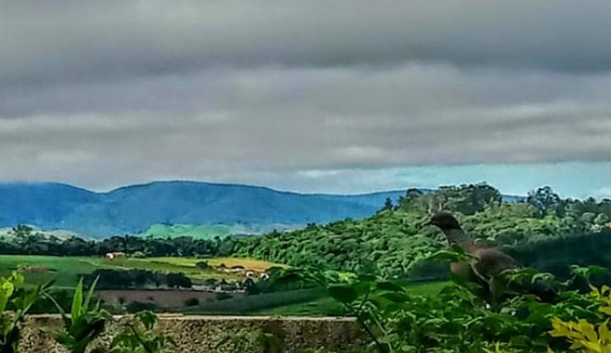 Foto de previsão do tempo