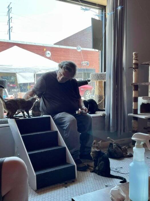 Idoso brincando com gatinhos