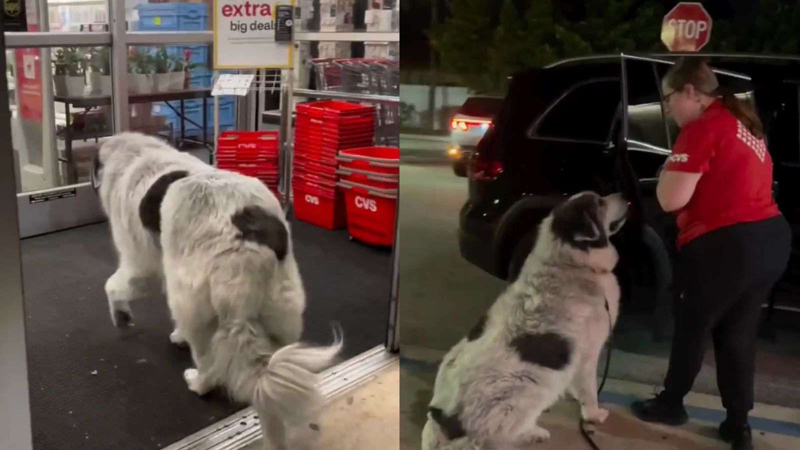 Ritche e funcionária da farmácia