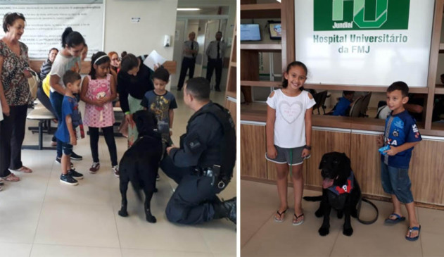 Cãoterapia é sucesso no HU