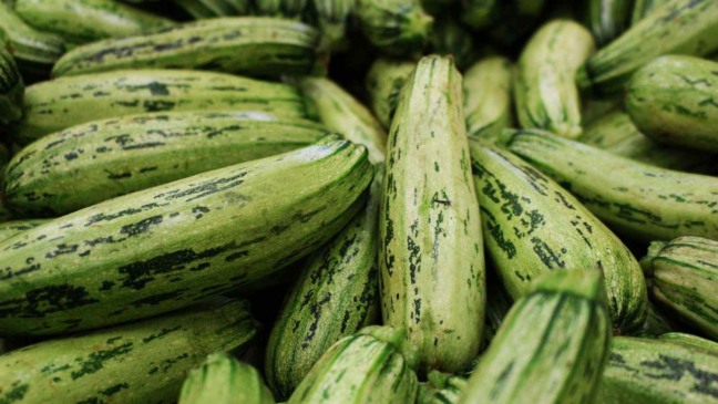 (Foto: Daniel Dan/Canva)